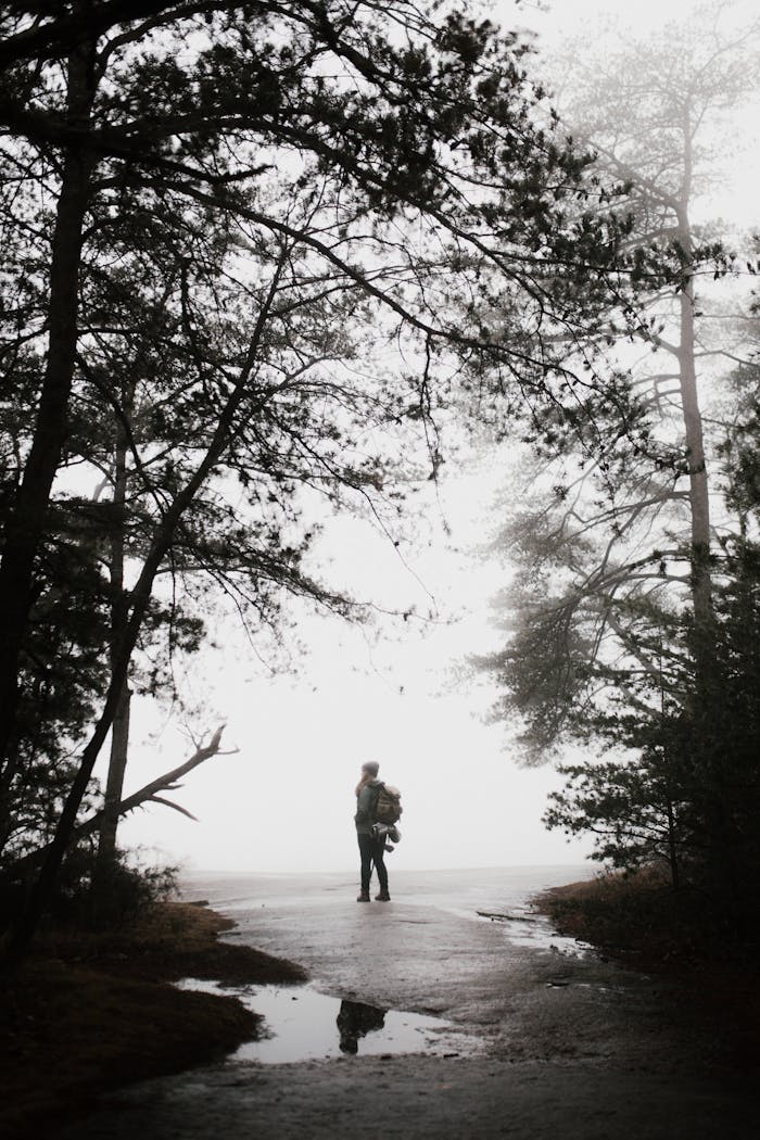 A lone hiker explores the misty forest pathways of Roaring Gap, NC, surrounded by towering trees.