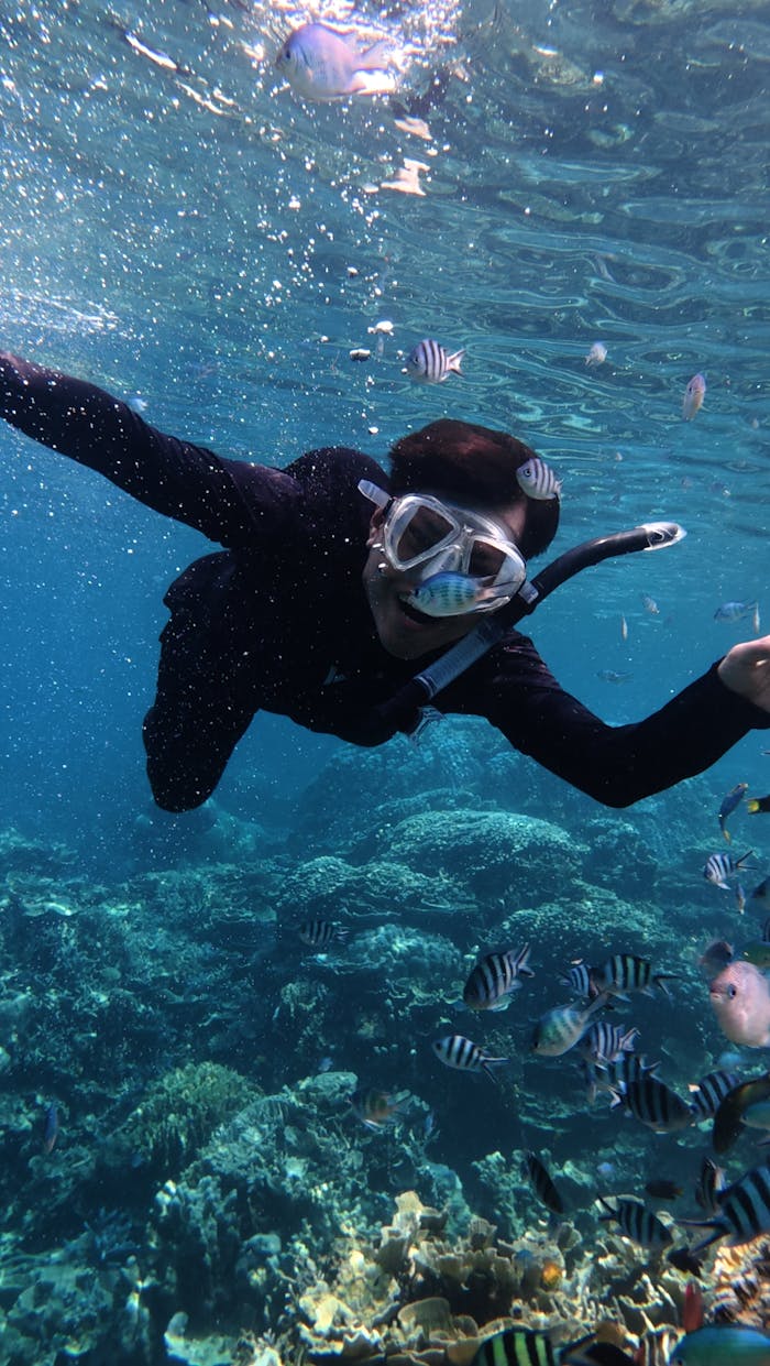 Discover the vibrant underwater life while snorkeling in Indonesia's clear waters.