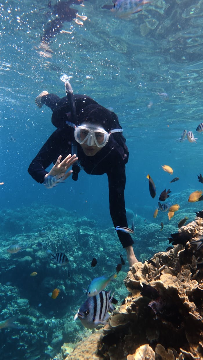 Diver explores vibrant coral reef in Jawa Tengah, Indonesia waters.